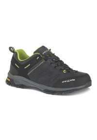 TREZETA - Buty trekkingowe Trezeta Raider WP. Kolor: zielony, wielokolorowy, szary