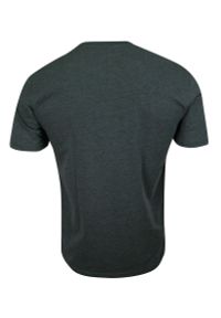 Pako Jeans - T-shirt Grafitowy, Szary, 100% Bawełna, z Nadrukiem, Męski, Krótki Rękaw, U-neck -PAKO JEANS. Okazja: na co dzień. Kolor: szary. Materiał: bawełna. Długość rękawa: krótki rękaw. Długość: krótkie. Wzór: nadruk. Styl: casual #2