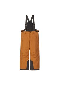 Spodnie dla dzieci narciarskie Reima Wingon 532185. Materiał: materiał, poliester. Wzór: gładki. Sezon: zima. Sport: narciarstwo #1
