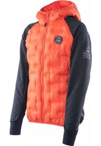 Kurtka przejściowa dla chłopca Elbrus Emini Tb. Kolor: pomarańczowy. Materiał: softshell