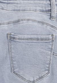 Born2be - Jasnoniebieskie Jeansy z Bawełną i Efektem Push Up o Dopasowanym Kroju Flortebia. Okazja: na co dzień. Kolor: niebieski. Styl: casual, elegancki #3