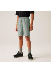 Regatta - Spodenki turystyczne dziecięce Sorcer. Kolor: szary. Materiał: tkanina, elastan. Styl: sportowy. Sport: turystyka piesza #1