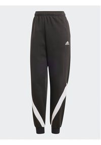 Adidas - adidas Dres Laziday IA3152 Czarny Regular Fit. Kolor: czarny. Materiał: bawełna #3