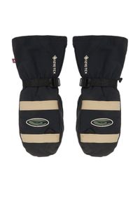 Quiksilver Rękawice narciarskie Austen Sweetin Gore Tex EQYHN03189 Czarny. Kolor: czarny. Materiał: skóra. Technologia: Gore-Tex. Sport: narciarstwo #1