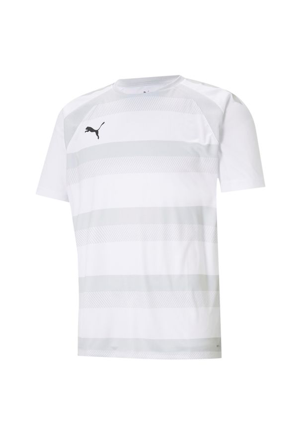 Jersey Puma Team Vision. Kolor: biały. Materiał: jersey. Sport: piłka nożna