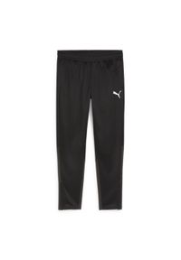 Spodnie męskie Puma Team Goal Training. Kolor: czarny, biały, wielokolorowy. Sport: piłka nożna #1