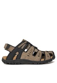 Geox Sandały Uomo Sandal Strada U4524C 000EK C6738 Brązowy. Kolor: brązowy. Materiał: skóra