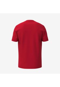 Head - Koszulka z krótkim rękawem dziecięca CLUB BASIC. Kolor: czerwony. Materiał: bawełna, jersey, materiał, poliester. Długość rękawa: krótki rękaw. Długość: krótkie