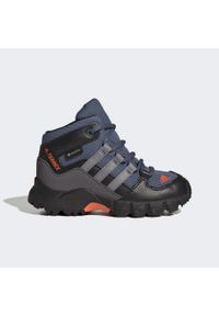 Buty turystyczne dla dzieci Adidas Terrex Mid GTX. Kolor: pomarańczowy, wielokolorowy, niebieski, szary. Model: Adidas Terrex. Sport: turystyka piesza
