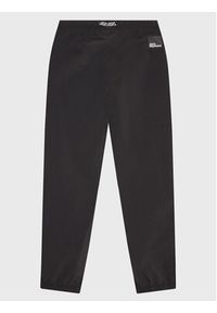 Jack Wolfskin Spodnie outdoor Teen 1609861 Czarny Regular Fit. Kolor: czarny. Materiał: syntetyk. Sport: outdoor