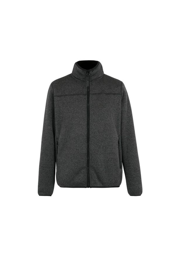 Polar zapinany na zamek błyskawiczny Regatta Branleigh. Kolor: czarny. Materiał: polar. Sport: turystyka piesza