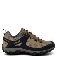 Regatta - Buty męskie trekkingowe niskie z membraną Edgepoint IV. Kolor: brązowy. Materiał: syntetyk. Szerokość cholewki: normalna. Sport: turystyka piesza