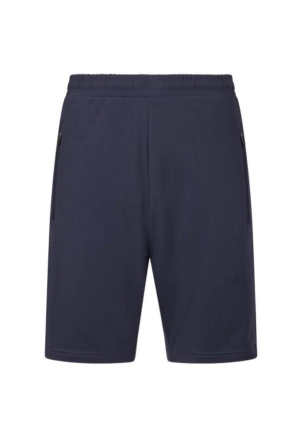 TRESPASS - Męskie Spodenki Gatga Active Shorts. Kolor: niebieski. Sport: turystyka piesza