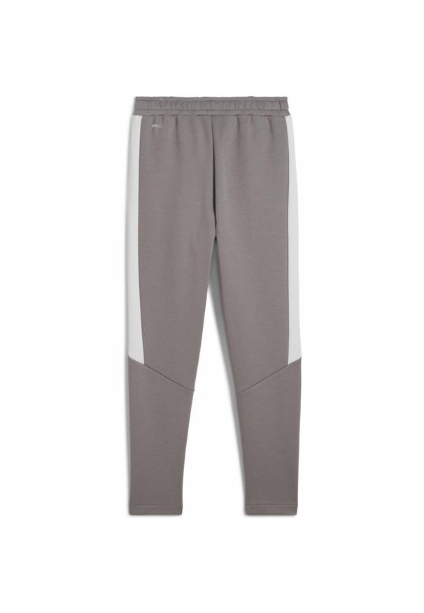 Puma - Młodzieżowe spodnie Evostripe PUMA Cast Iron Gray. Kolor: szary