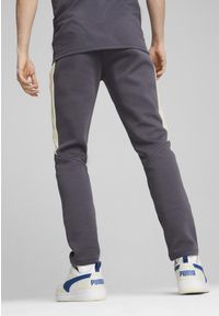 Puma - Męskie spodnie EVOSTRIPE PUMA Galactic Gray. Kolor: szary