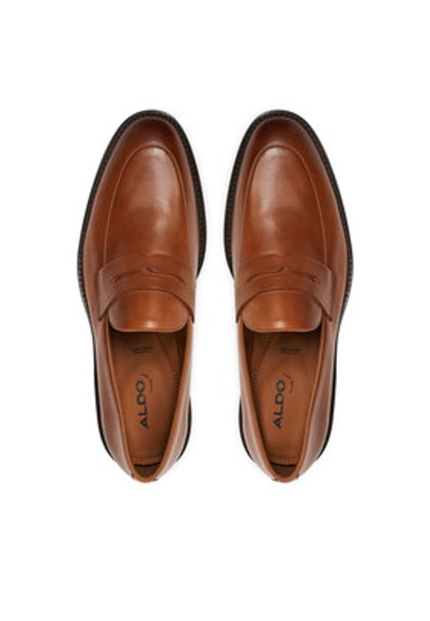 Aldo Mokasyny Salinero 13963032 Brązowy. Kolor: brązowy. Materiał: skóra