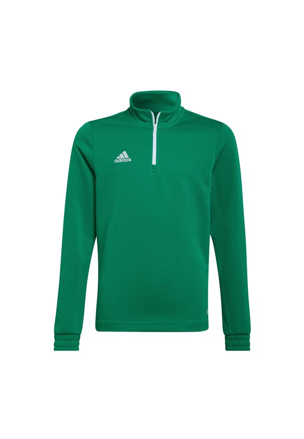 Adidas - Bluza piłkarska dla dzieci adidas Entrada 22 Training Top. Kolor: zielony, biały, wielokolorowy. Sport: piłka nożna