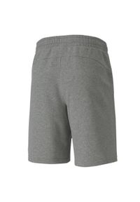Spodenki męskie Puma TeamGOAL 23 Casuals Shorts szare. Kolor: szary. Sport: fitness #2