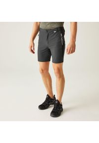 Regatta - Męskie spodenki trekkingowe Mountain II. Kolor: szary. Materiał: tkanina. Sport: turystyka piesza #1