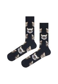 His Story - Tematyczne Skarpetki Bawełniane - Koty w Okularach. Materiał: elastan, bawełna, poliamid #2