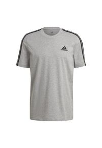 Adidas - Koszulka męska adidas Essentials T-Shirt. Kolor: szary. Długość rękawa: krótki rękaw. Długość: krótkie. Sport: fitness