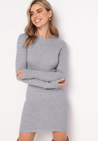 Born2be - Szara Dzianinowa Sukienka Mini z Ozdobnym Prążkowaniem o Dopasowanym Fasonie Kais. Kolor: szary. Materiał: dzianina, prążkowany. Długość: mini #4