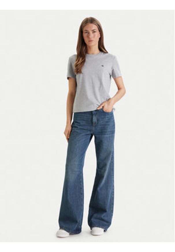 Calvin Klein Jeans T-Shirt Archive LV047B224G Szary Regular Fit. Kolor: szary. Materiał: bawełna