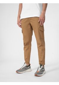 4f - Spodnie casual cargo męskie. Kolor: brązowy. Materiał: materiał, bawełna