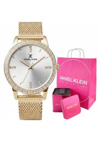 Zegarek damski Daniel Klein CORINA 13696-2 złoty st. Kolor: złoty #1