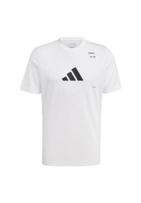 Adidas - Koszulka Handball Category Graphic. Kolor: biały. Sport: piłka ręczna