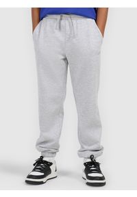 4f - 4F Spodnie dresowe joggery chłopięce - szare 146 (10-11 lat). Okazja: na co dzień. Kolor: szary. Materiał: dresówka. Wzór: gładki, ze splotem. Sezon: lato. Styl: młodzieżowy, casual, sportowy #2