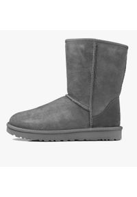Ugg - Buty zimowe damskie UGG W Classic Short II (1016223-GREY). Okazja: na plażę. Kolor: srebrny. Materiał: materiał. Sezon: zima. Styl: młodzieżowy #3