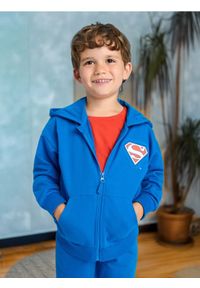 Sinsay - Bluza z kapturem Superman - Inny. Typ kołnierza: kaptur. Wzór: motyw z bajki #1