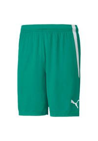 Szorty Puma Team Liga. Kolor: biały, wielokolorowy, zielony. Długość: krótkie. Sport: piłka nożna #1