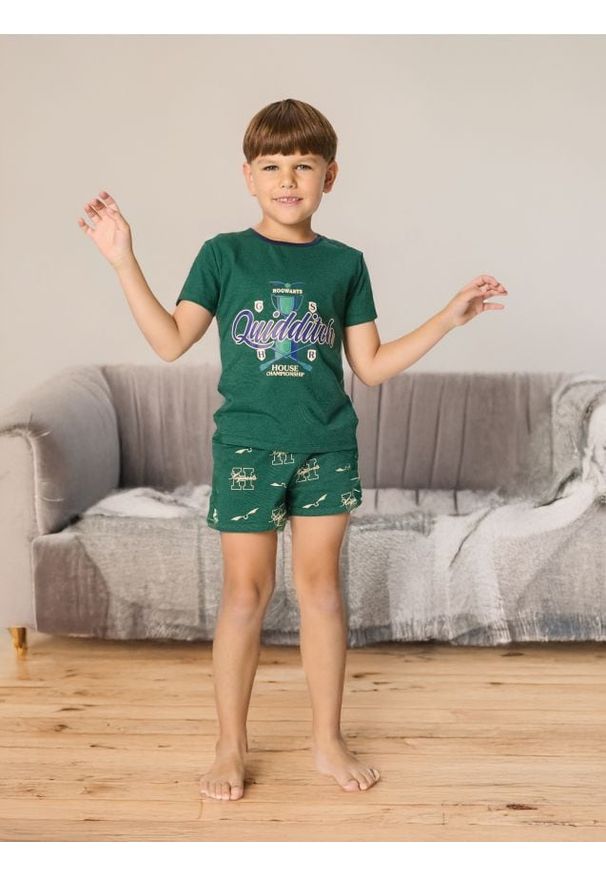 Sinsay - Piżama dwuczęściowa Harry Potter - zielony. Kolor: zielony. Materiał: guma. Długość: krótkie