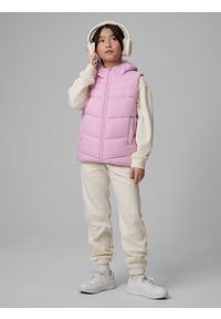 4f - 4F Bezrękawnik z wypełnieniem syntetycznym dziewczęcy - fioletowy 140 (9-10 lat). Okazja: na spacer, na co dzień, na uczelnię. Typ kołnierza: kołnierzyk stójkowy. Kolor: fioletowy. Materiał: syntetyk. Długość rękawa: bez rękawów. Sezon: lato. Styl: casual #1