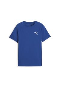 Puma Koszulka Evostripe 67919517. Kolor: szary, niebieski, wielokolorowy