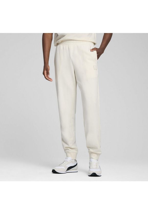 Puma - Męskie spodnie Essentials Elevated PUMA No Dye Color Mix. Sport: fitness
