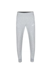 Spodnie Puma Ess 2 Col Logo Pants Tr Cl, Mężczyźni. Kolor: szary. Materiał: bawełna, materiał
