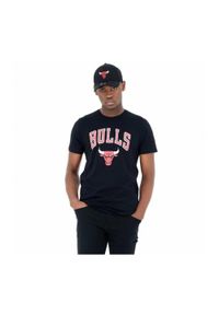 New Era - T-shirt de Ginástica 100% Algodão Team Logo Chicago Bulls Preto. Kolor: czerwony, wielokolorowy, czarny. Sport: koszykówka