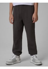 4f - 4F Spodnie dresowe joggery chłopięce - szare 134 (8-9 lat). Okazja: na co dzień, na uczelnię. Kolor: szary. Materiał: dresówka. Sezon: lato. Styl: casual #2