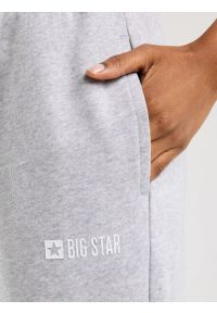 Big-Star - Spodnie damskie dresowe szare Kathy 901. Kolor: szary. Materiał: dresówka. Wzór: nadruk #8