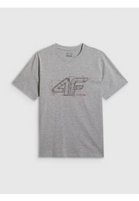 4f - 4F T-shirt regular z nadrukiem męski - szary XL. Okazja: na co dzień. Kolor: szary. Materiał: dzianina, bawełna, materiał. Wzór: nadruk. Styl: casual #1