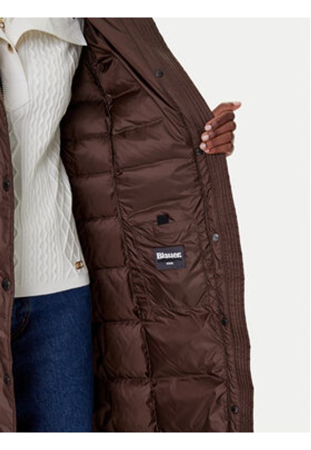 Blauer Płaszcz zimowy 25WBLDK03101 Brązowy Regular Fit. Kolor: brązowy. Materiał: syntetyk. Sezon: zima
