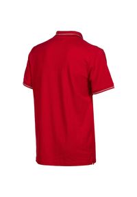 Koszulka polo Arena Team Polo shirt Solid Cotton. Typ kołnierza: polo. Kolor: czerwony. Materiał: bawełna. Wzór: gładki