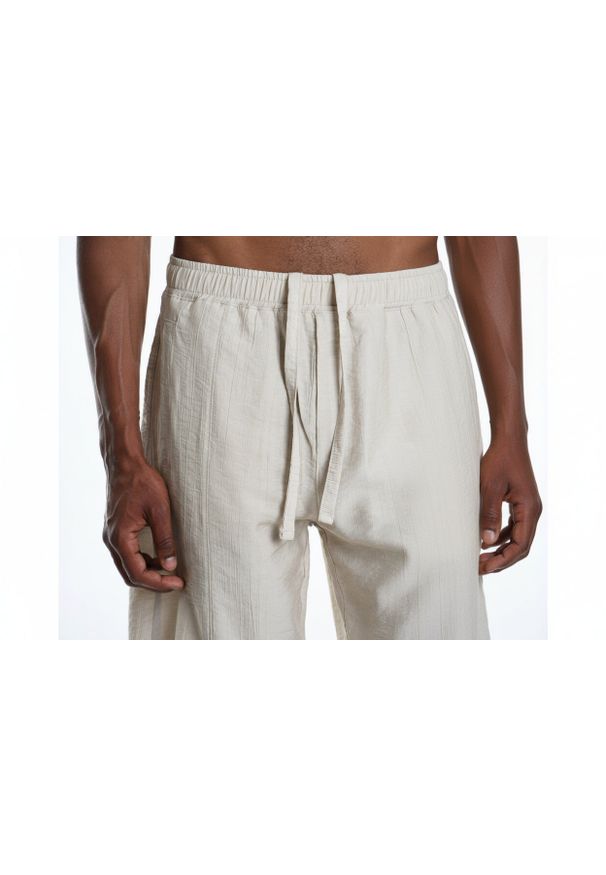 La Haine Inside Us Szorty | 3M M1248 | Mężczyzna | Beżowy. Okazja: na co dzień. Kolor: beżowy. Materiał: wiskoza, poliamid. Styl: elegancki, casual