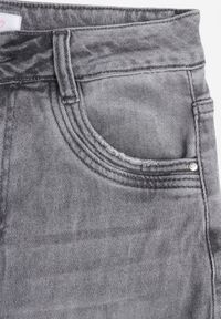 Renee - Szare Jeansy Wide Leg High Waist z Bawełną i Dodatkiem Wiskozy Rhenerila. Okazja: na co dzień. Stan: podwyższony. Kolor: szary. Styl: casual, elegancki #3