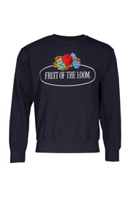 FRUIT OF THE LOOM - Męska Bluza Z Nadrukiem Logo W Stylu Vintage. Kolor: niebieski. Wzór: nadruk