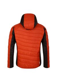 DARE 2B - Kurtka Turystyczna Męska Z Podpinką. Kolor: czerwony, wielokolorowy, pomarańczowy. Materiał: puch. Sport: turystyka piesza #2