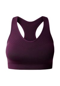 DARE 2B - Damski Biustonosz Sportowy Dont Sweat It II. Kolor: fioletowy